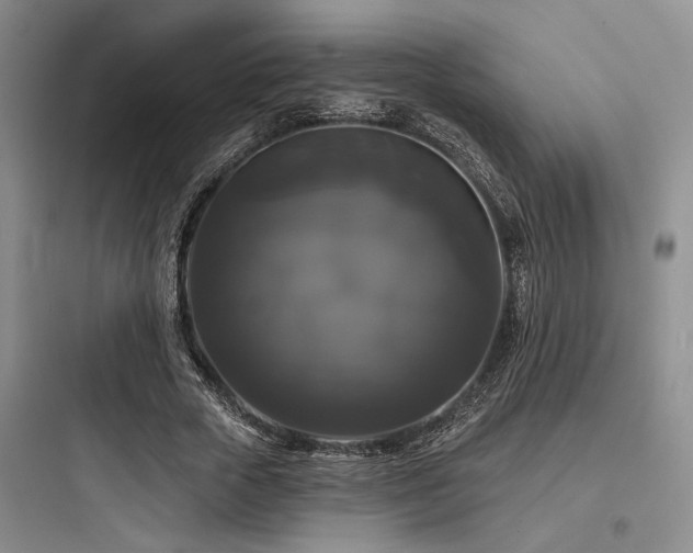 X0000097990729200803241341