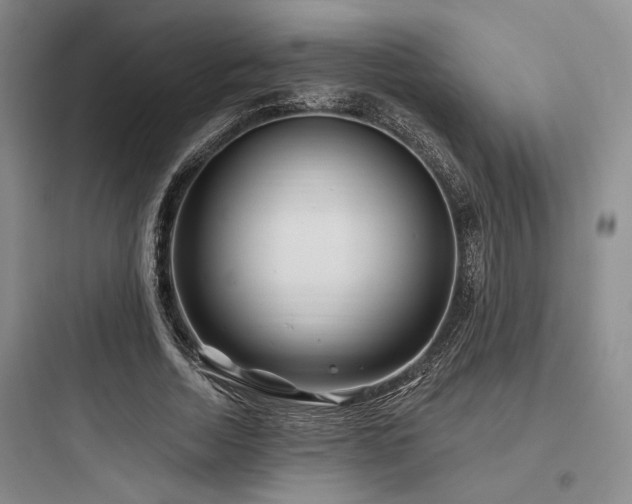X0000097990730200803241341