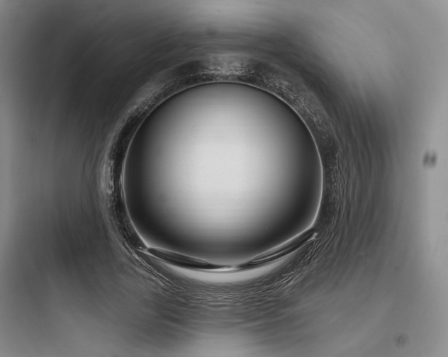 X0000097990731200803241341