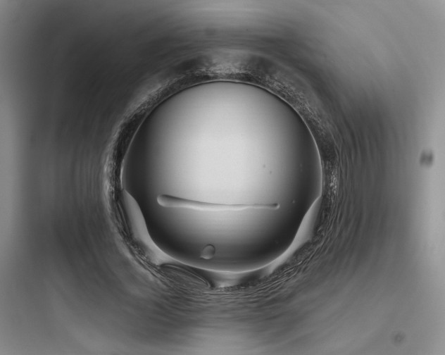 X0000097990732200803241341