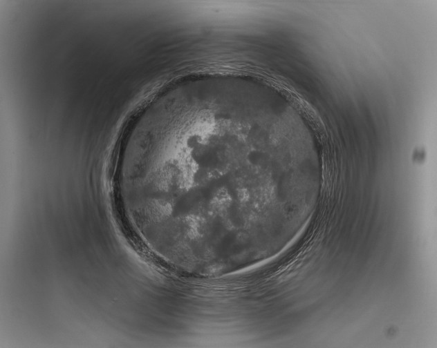 X0000097990734200803241341