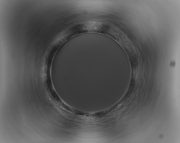 X0000097990735200803241341