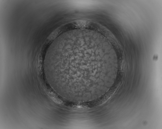 X0000097990737200803241341