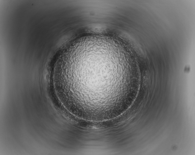 X0000097990739200803241341
