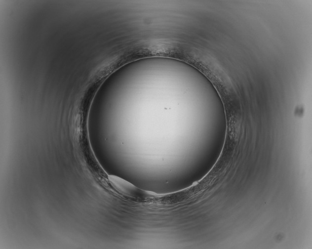 X0000097990740200803241341