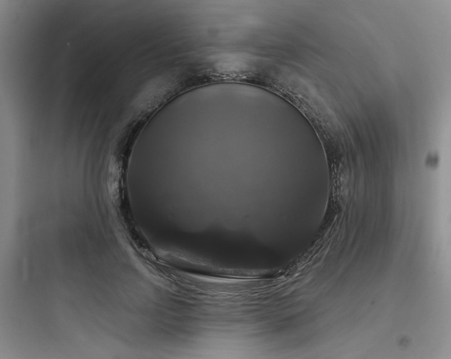 X0000097990742200803241341