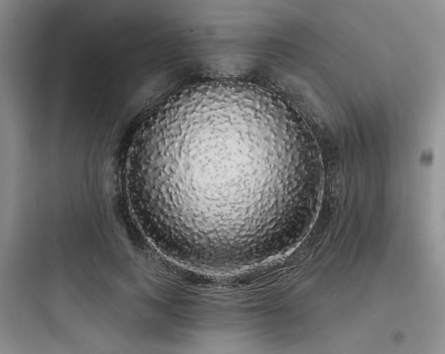 X0000097990743200803241341