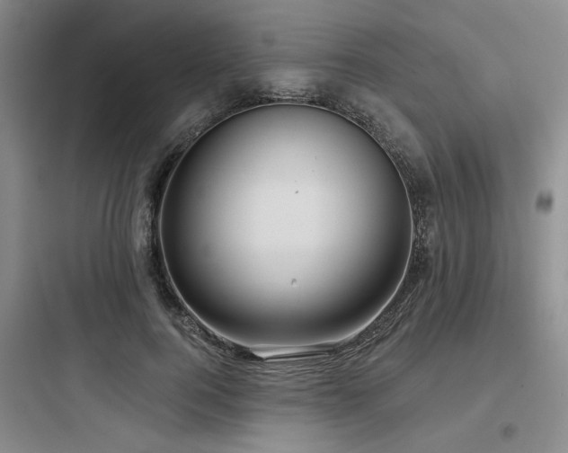 X0000097990744200803241341