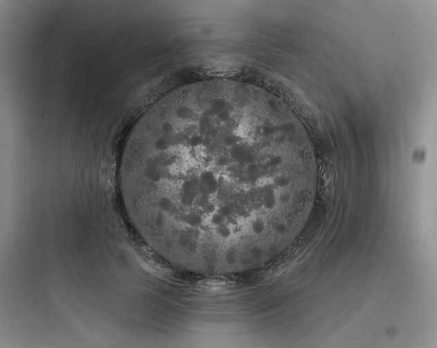 X0000097990745200803241341