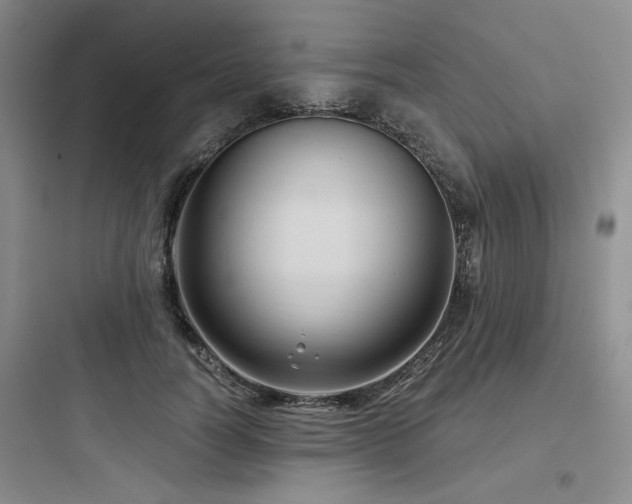 X0000097990746200803241341