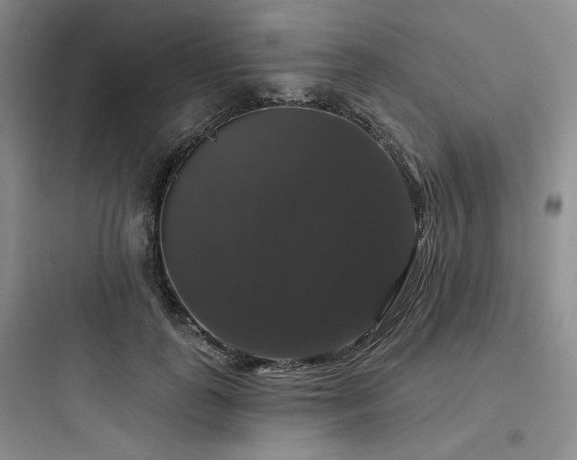 X0000097990747200803241341