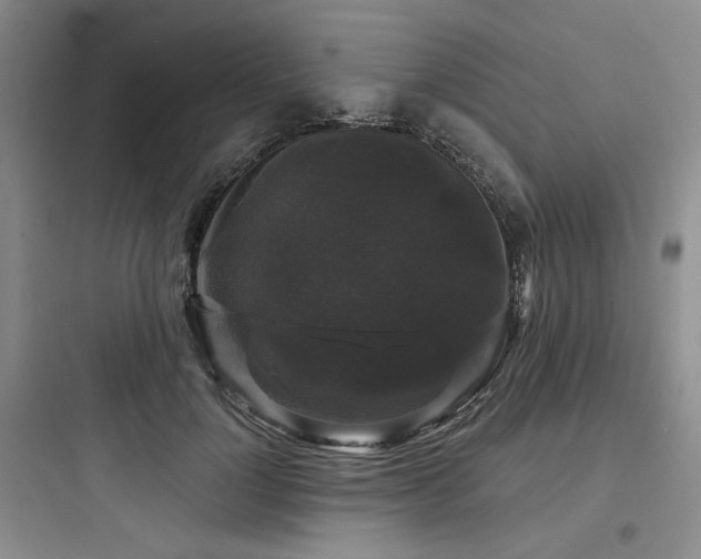X0000097990748200803241341