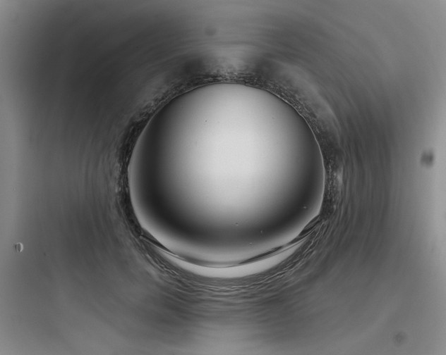X0000097990750200803241341