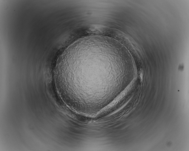 X0000097990751200803241341