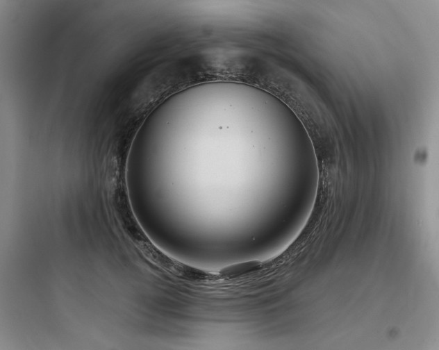 X0000097990752200803241341