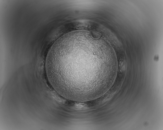 X0000097990753200803241341