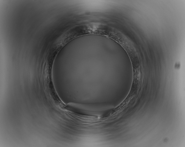 X0000097990754200803241341