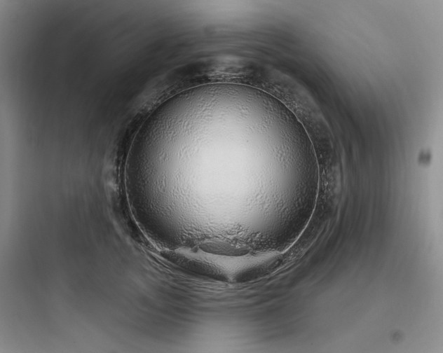 X0000097990755200803241341