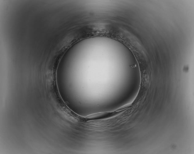 X0000097990756200803241341