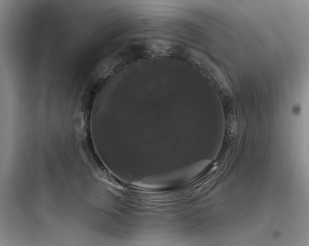 X0000097990759200803241341