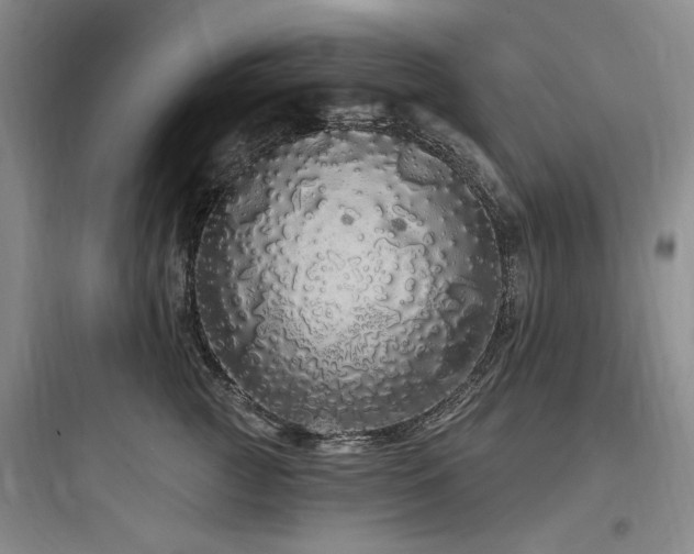X0000097990761200803241341