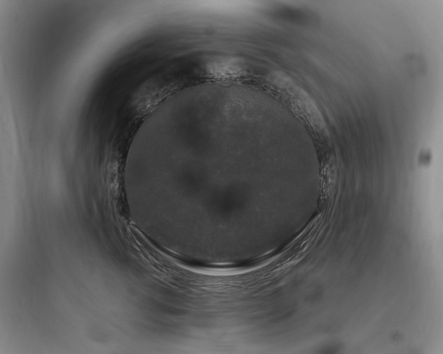 X0000097990762200803241341