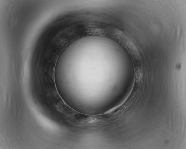 X0000097990764200803241341