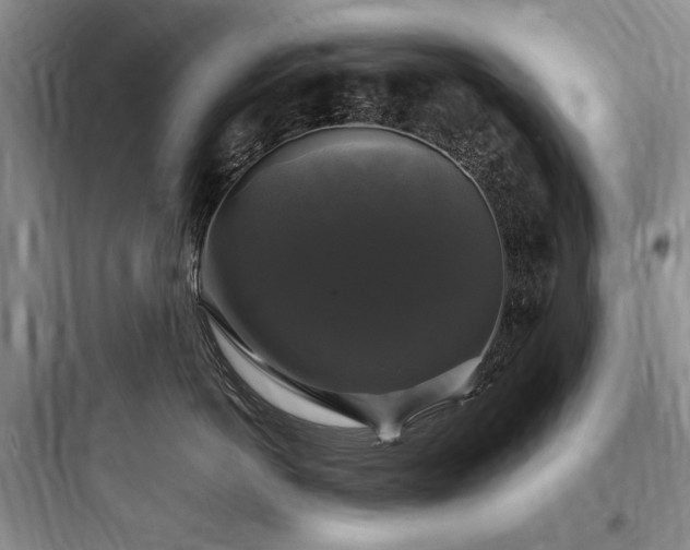 X0000097990766200803241341