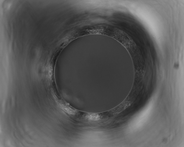 X0000097990767200803241341