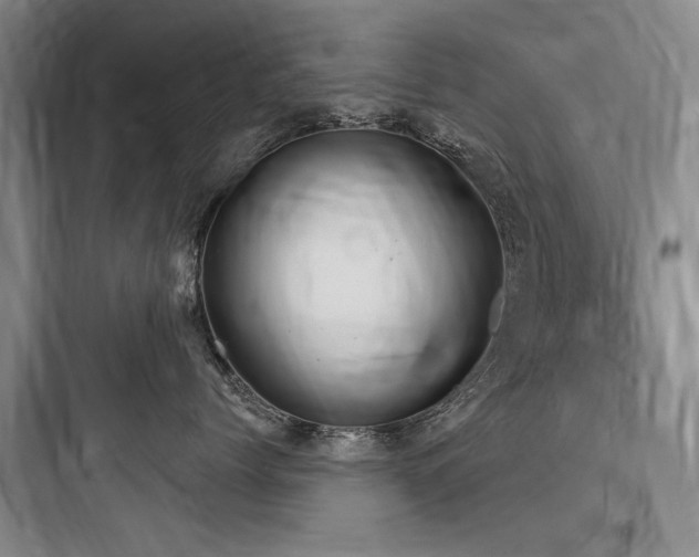 X0000097990768200803241341