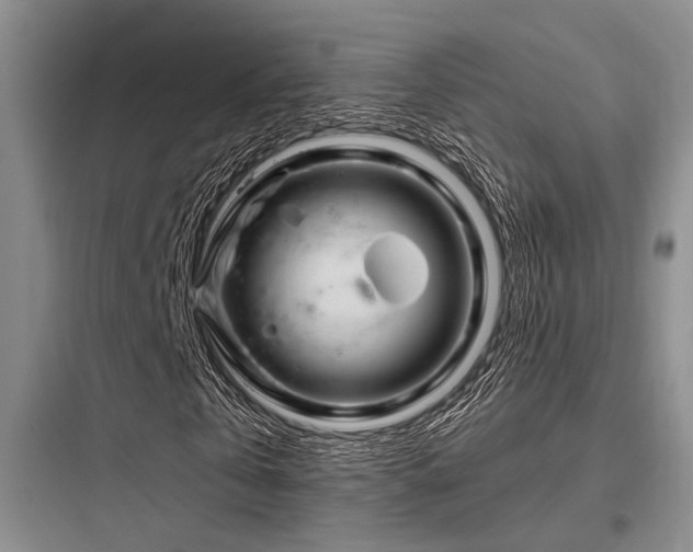 X0000097990769200803241340