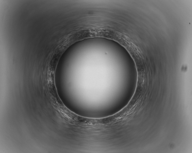 X0000097990770200803241340