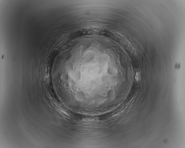 X0000097990771200803241340