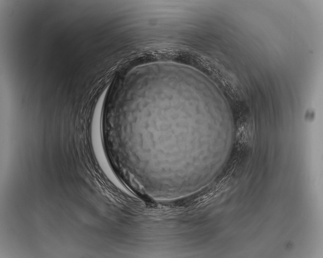 X0000097990772200803241340