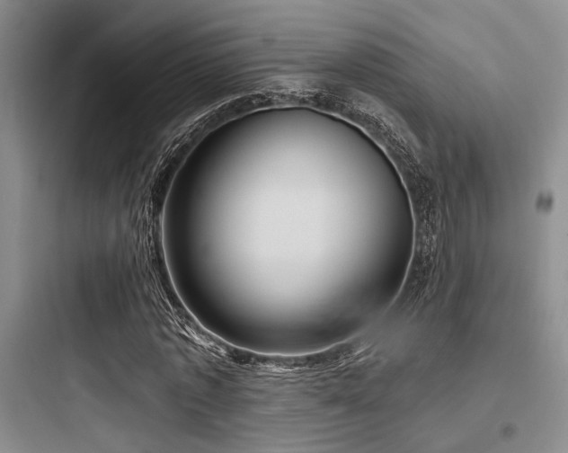 X0000097990773200803241340