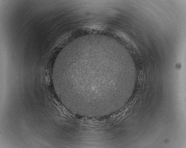 X0000097990774200803241340