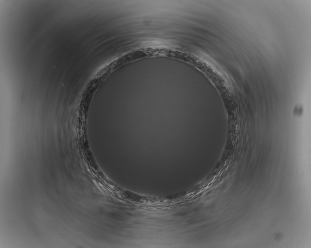 X0000097990775200803241340