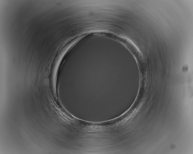 X0000097990777200803241340