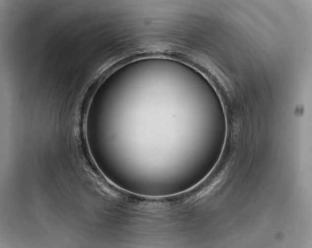 X0000097990778200803241340