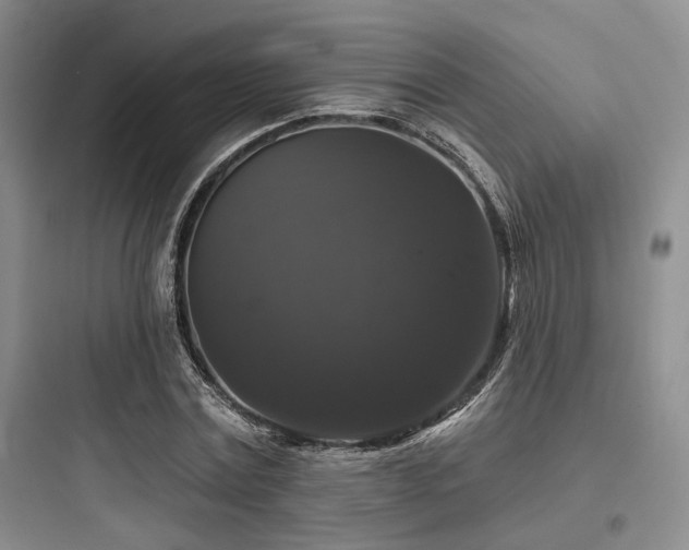 X0000097990779200803241340