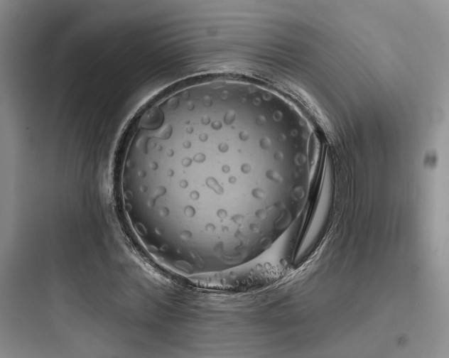 X0000097990780200803241340