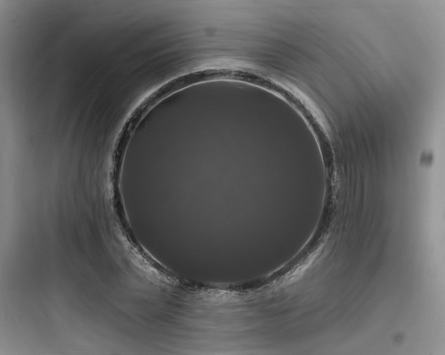 X0000097990783200803241340