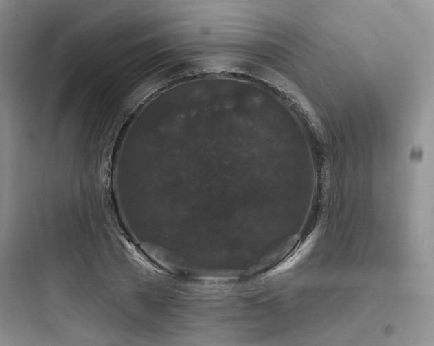X0000097990785200803241340