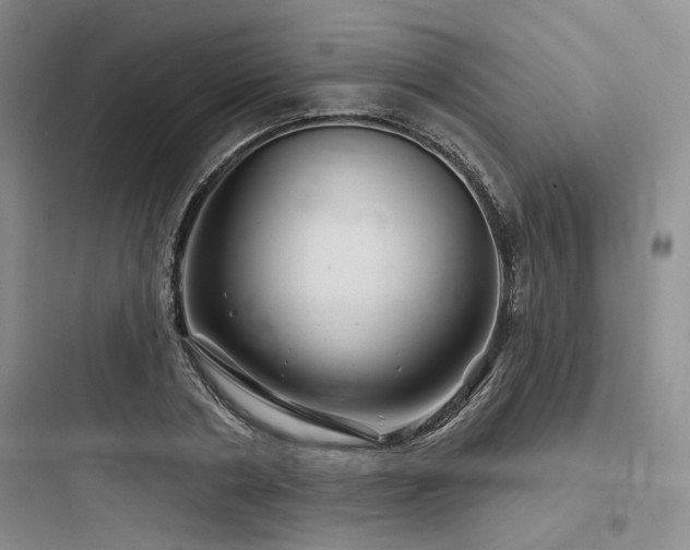 X0000097990786200803241340
