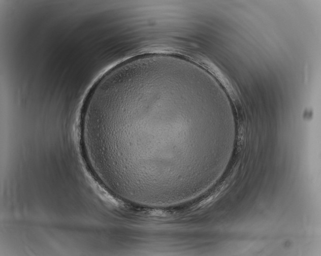 X0000097990787200803241340