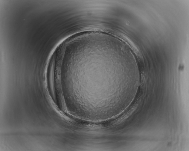 X0000097990788200803241340