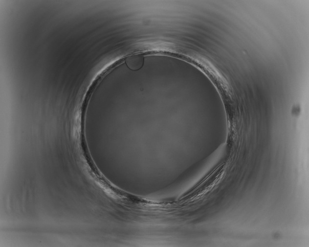 X0000097990790200803241340