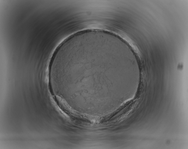 X0000097990791200803241340