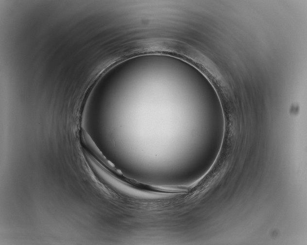 X0000097990793200803241340