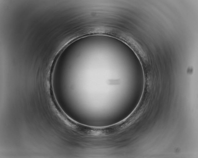X0000097990794200803241340